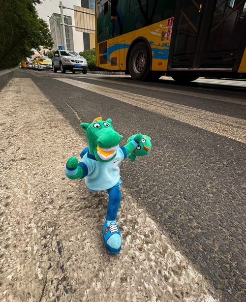 A Small Plush Toy Actually Made A City Popular
