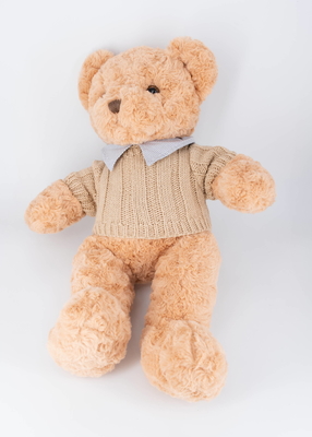 Good price All Ages Soft Plush Toys Teddy Bear Personalized Text Image And Outfits For Unique Gifts online