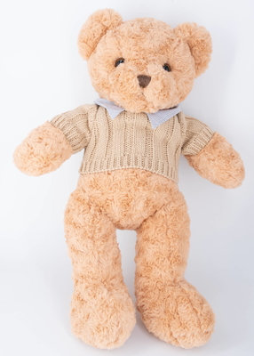 Good price 45cm Cute Stuffed Teddy Bears Bow Tie Hoodies Plush Toys Strippable Sweater Bear online