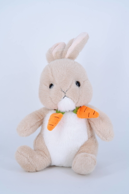 Good price OEM Custom Design Made Mascot Dolls Carrot Rabbit Holding Cute Plush Toy online