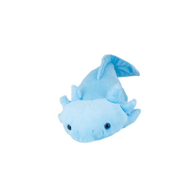 İyi bir fiyat. Özel Simülasyon Dolu Oyuncaklar Hayvan Mavi Küçük Ayaklar Yumuşak Axolotl Salamander Plüş Oyuncaklar çevrimiçi